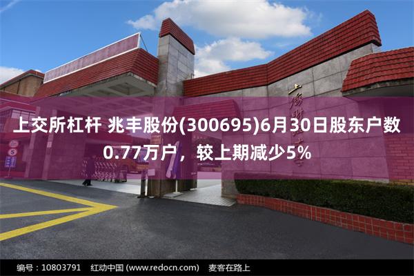 上交所杠杆 兆丰股份(300695)6月30日股东户数0.77万户，较上期减少5%
