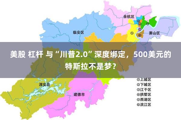 美股 杠杆 与“川普2.0”深度绑定，500美元的特斯拉不是梦？