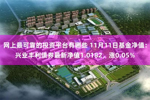 网上最可靠的投资平台有哪些 11月11日基金净值：兴业丰利债券最新净值1.0182，涨0.05%