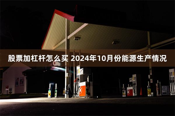 股票加杠杆怎么买 2024年10月份能源生产情况