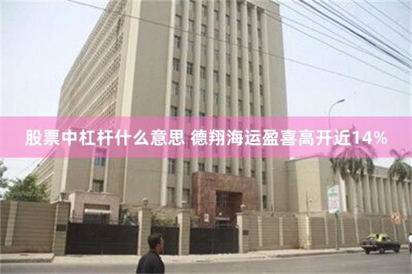 股票中杠杆什么意思 德翔海运盈喜高开近14%