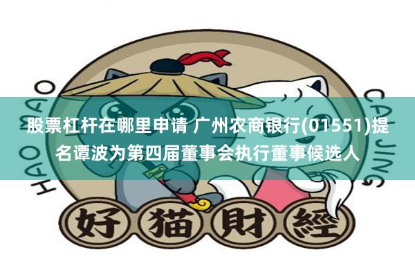 股票杠杆在哪里申请 广州农商银行(01551)提名谭波为第四届董事会执行董事候选人
