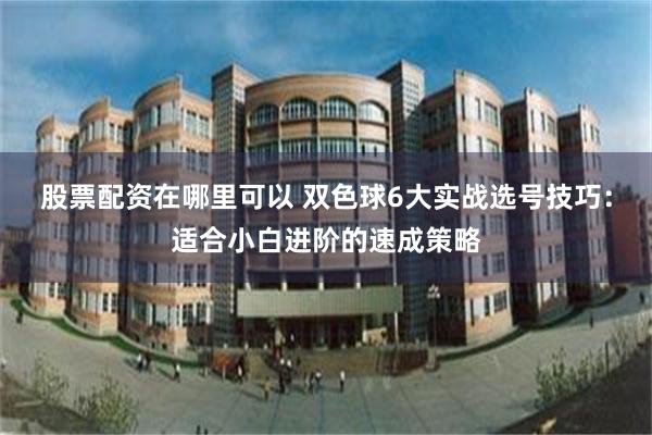 股票配资在哪里可以 双色球6大实战选号技巧：适合小白进阶的速成策略