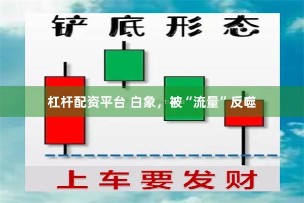 杠杆配资平台 白象，被“流量”反噬