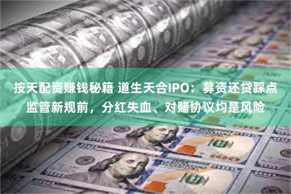 按天配资赚钱秘籍 道生天合IPO：募资还贷踩点监管新规前，分红失血、对赌协议均是风险