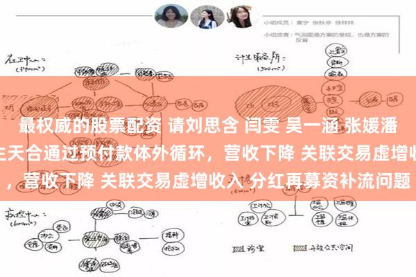 最权威的股票配资 请刘思含 闫雯 吴一涵 张媛潘 妙丽道5位委员 关注道生天合通过预付款体外循环，营收下降 关联交易虚增收入 分红再募资补流问题